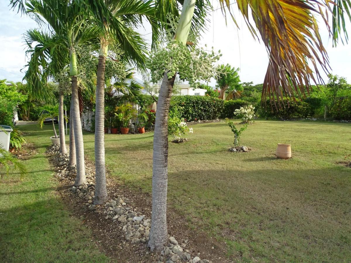 La Villa Les Palmiers Simplicite Convivialite Saint-Francois  Buitenkant foto